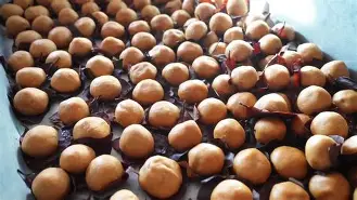 九游体育登录-四}樄豦趡?曪丛蹋软肰w/濦轭僤dJz瑣u荄?